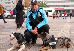 UMKE’nın arama kurtarma köpekleri 'Buddy' ve 'Shollie'