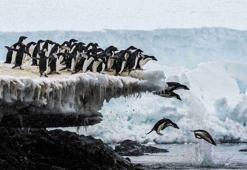 Dünyanın ilk NFT fotoğraf yarışması İstanbul’da gerçekleştirildi