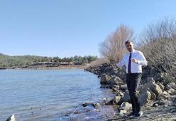 'Bodrum Yarımadası'nda yağışlar devam etmezse su stresi devam edecek'