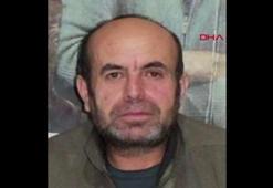 MİT, PKK/HPG'nin sözde konsey üyesini etkisiz hale getirdi