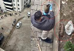 Şırnak'ta, site bahçesinde 1'i patlamamış 2 top mermisi bulundu