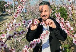 Mersin'de yalancı bahara aldanan ağaçlar çiçek açtı