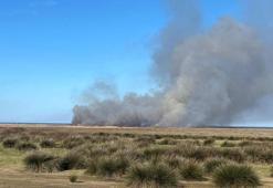 Kızılırmak Kuş Cenneti'nde çıkan yangın, kontrol altına alındı