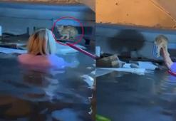 Antalya'yı sel vurdu; mahsur kalan kedi böyle kurtarıldı