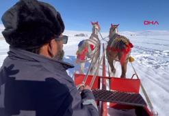 Çıldır Gölü'nde 'atlı kızak'