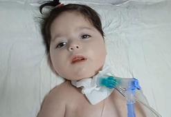 Gerekli paranın yüzde 11’i toplanan SMA hastası Elanur’un annesi: O küçük ellerinden tutun, kızım toprak olmasın