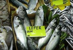 Çanakkale'de 'denizin prensi' lüferin kilosu 900 TL oldu