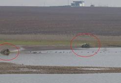 Kestikleri ağaçları mevzi yapıp, 200’ün üzerinde türün yaşadığı göletteki kuşları avladılar