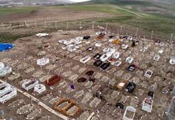 CİMER'e 'hayvan mezarlığı' şikayeti