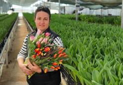 Kadınlar günü için suda 200 bin lale üretildi