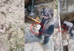 Profesörün 'semender' operasyonu