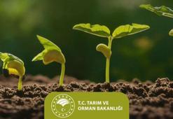 Tarım ve Orman Bakanlığı'ndan çiftçiye 50 milyon 900 bin TL destek ödemesi