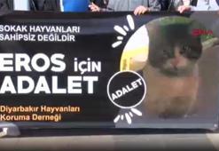 Diyarbakır’da hayvanseverler ‘Eros’u öldüren kişinin ceza alması için toplandı