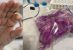 Doç. Dr. Gedik: Güllerden yutulabilir parfüm ürettik