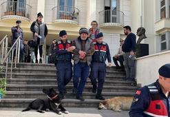 Bodrum'da 4 köpek ile 3 kediyi zehirleyerek öldüren şüpheliyi özel ekip yakaladı