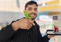 Çalıştığı kantinde, muhabbet kuşuyla servis yapıyor