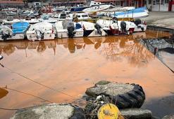 Tekirdağ sahilinde denizin rengi turuncu oldu