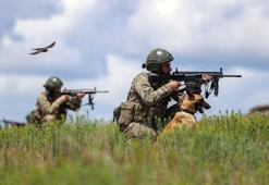 MSB: Hudutlarda 1'i FETÖ, 1'i DEAŞ mensubu 4 kişi yakalandı