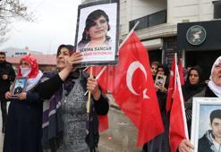 Van'daki evlat eyleminde 77'nci hafta; Bize evlatlarımızı versinler