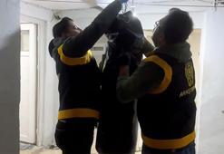 Evdeki boks torbasından 40 bin uyuşturucu hap çıktı