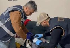 'Bozdoğan-11' operasyonlarında 33 DEAŞ şüphelisi yakalandı