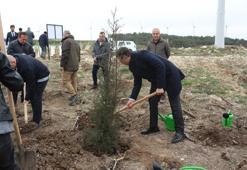 Akfen Holding, Çanakkale’de 100 bin ağaçlık hatıra ormanı kuruyor