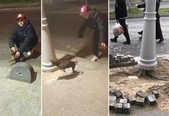 Büyükçekmece'de elektrik kaçağını test etmek için köpeği kullandı