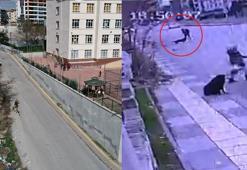 Okul yolunda köpek korkusu