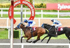 Dünya Kadınlar Koşusu Veliefendi’de yapıldı