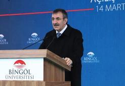 Cumhurbaşkanı Yardımcısı Yılmaz: Bölgenin kaynaklarını kullanarak yerel ekonomiyi güçlendirmeye devam edeceğiz