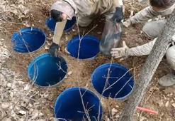 Diyarbakır'da PKK'lı teröristlerin kullandığı 11 sığınak ve 2 depo imha edildi