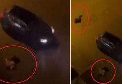 Birlikte yaşadığı kadın ve yanındaki erkeği öldürdü