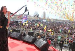 DEM Parti ile DBP, Van ve Hakkari'de nevruzu kutladı
