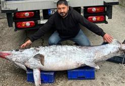 Avladığı 3 metre boyundaki 150 kiloluk kılıç balığını 30 bin TL'ye sattı