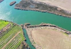 Dalyan Kanalı'nda sazlıklar söküldü, inceleme başlatıldı