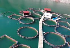 Bakan Yumaklı: IPARD III Programı'nda 785 milyon euro hibe desteği kullandıracağız