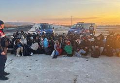 Çanakkale'de 84 kaçak göçmen yakalandı