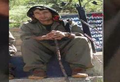 MİT, PKK/YPG'nin sözde Kamışlı batı sektör komutanını etkisiz hale getirdi