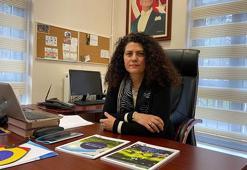 AB destekli iklim değişikliğine uyumun güçlendirilmesi projesi