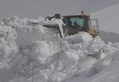 Muş'ta 4 metreyi aşan karla zorlu mücadele