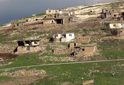 Köy muhtarını, Almanya’daki seçmenler belirleyecek