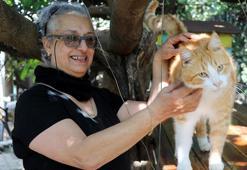 Norveçli Fari, kurduğu merkezde yüzlerce hayvanın hayatına dokundu