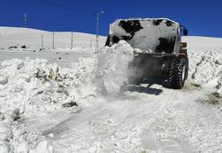 Kars'ta 'kar kaplanları'nın 2 bin 300 rakımda zorlu mücadelesi