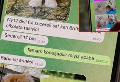Pet shopta yasaklanan hayvan satışı sosyal medyada arttı