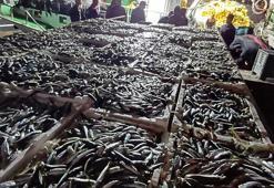 İstanbul'da kaçak avlanan 8 ton istavrit balığına el konuldu