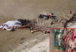 'At eti sulu olur, mangal söndürür'