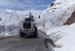 Yüksekova-Dağlıca kara yoluna çığ düştü