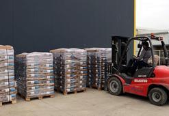 Türkiye'den Rusya'ya yerli ve milli hibrit ayçiçeği tohumu ihracatı