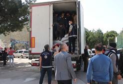 Mercimek yüklü TIR'ın dorsesinden 40 kaçak göçmen çıktı