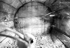 İbibik 'Lisa', 7'nci yılda da aynı yuvaya geldi